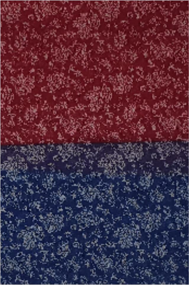 Pashmina estampada duo rojo azul