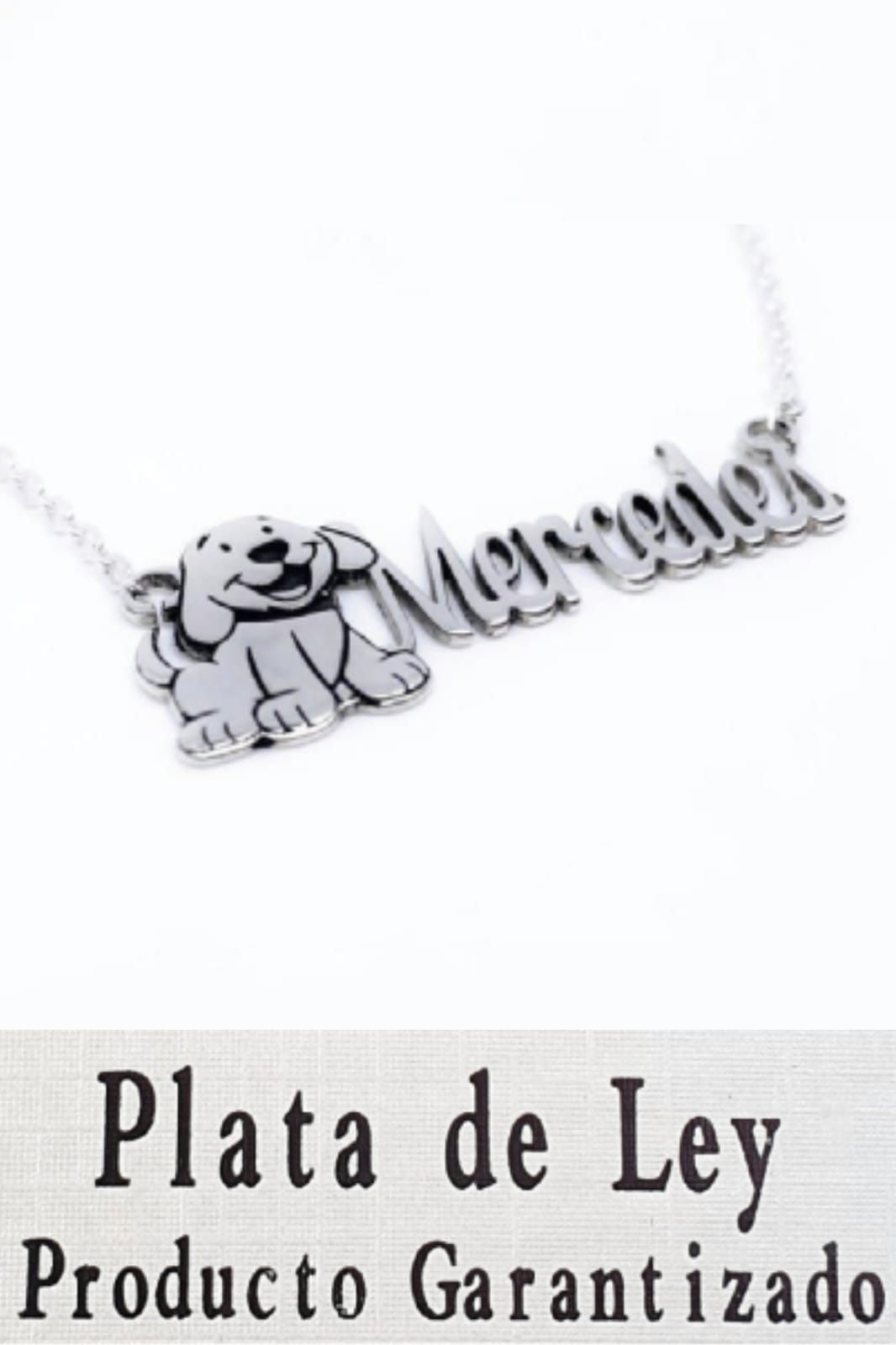 Gargantilla PERRO con nombre personalizado de Plata de ley