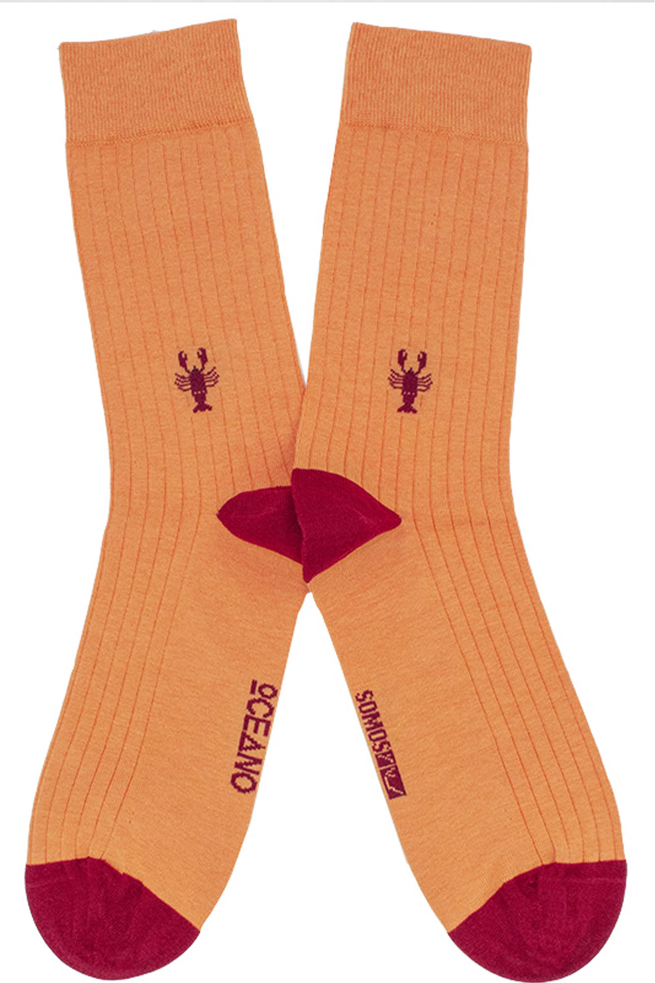 Calcetines lisos BOGAVANTE - Imagen 4