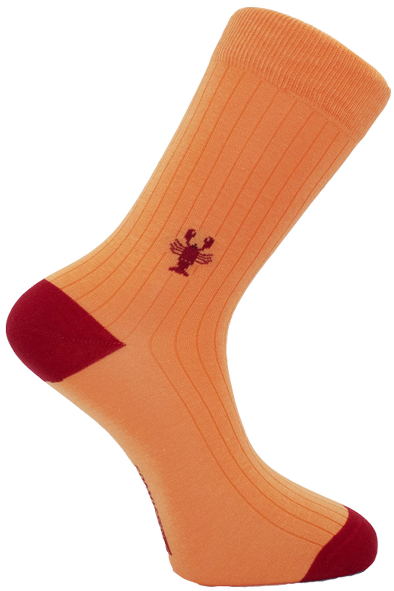 Calcetines lisos BOGAVANTE - Imagen 3