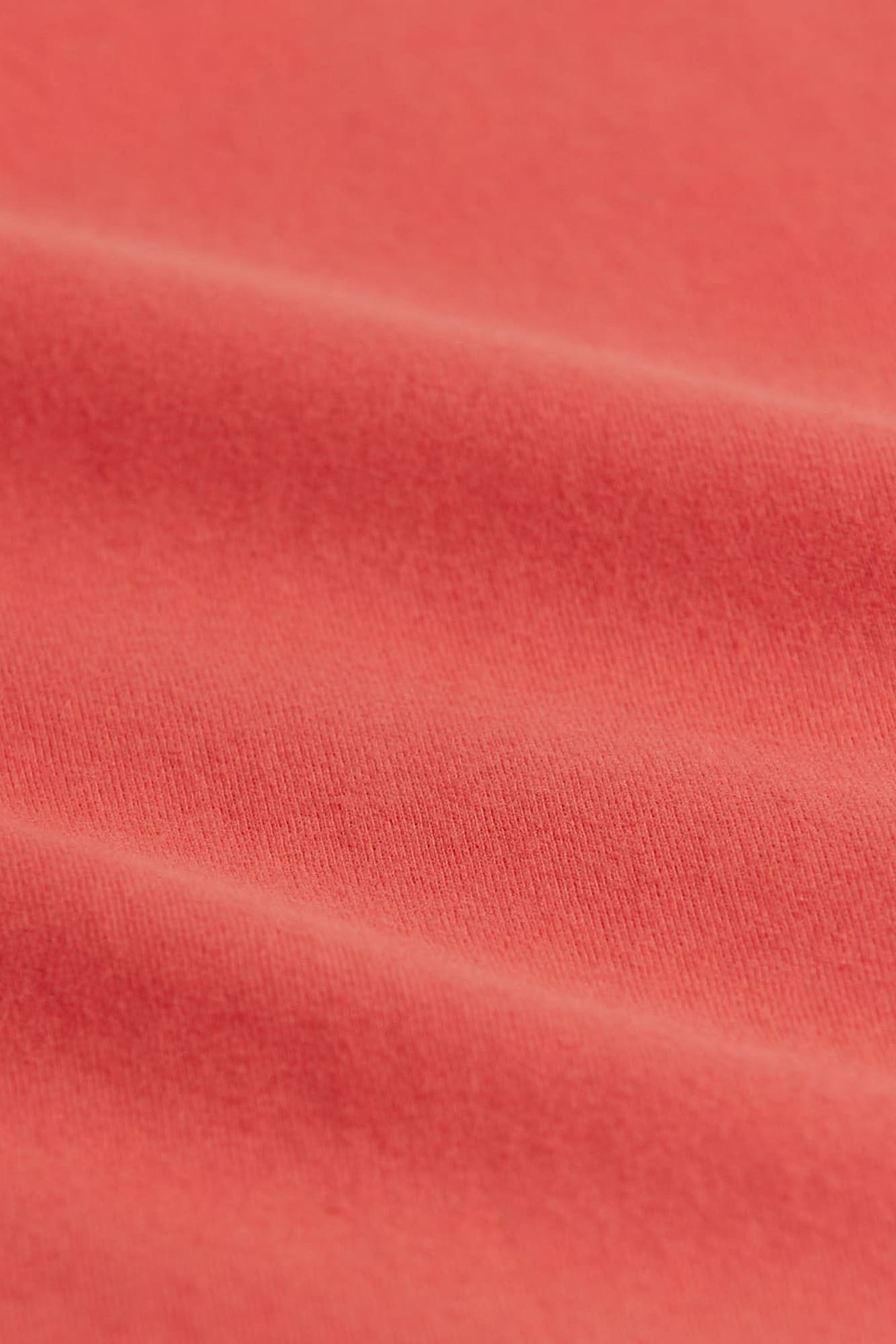 Camiseta de algodón SANGRIA - Imagen 3