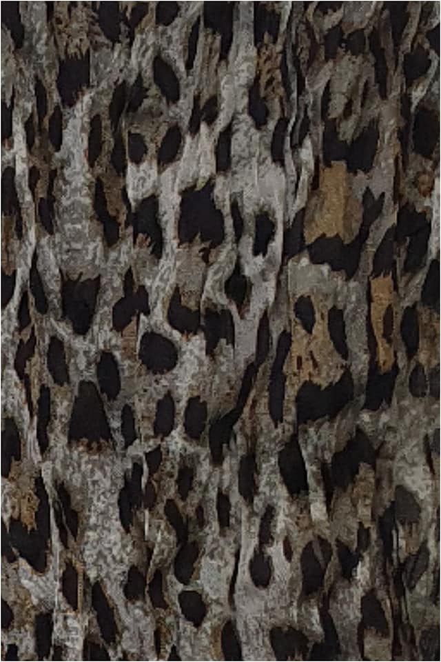 Pashmina animal print kaki