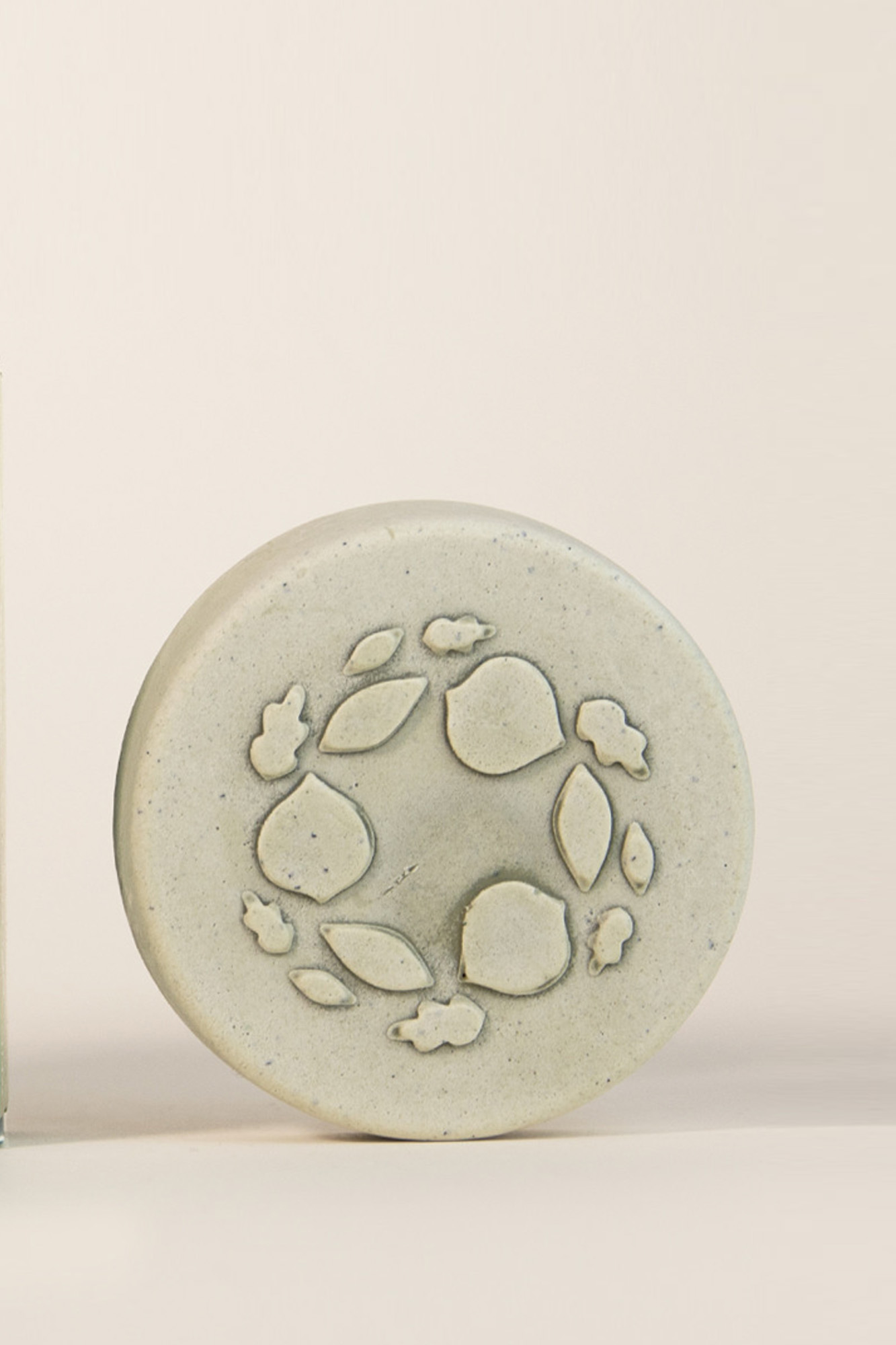 Champú para cabello graso REGUL & PURIFY