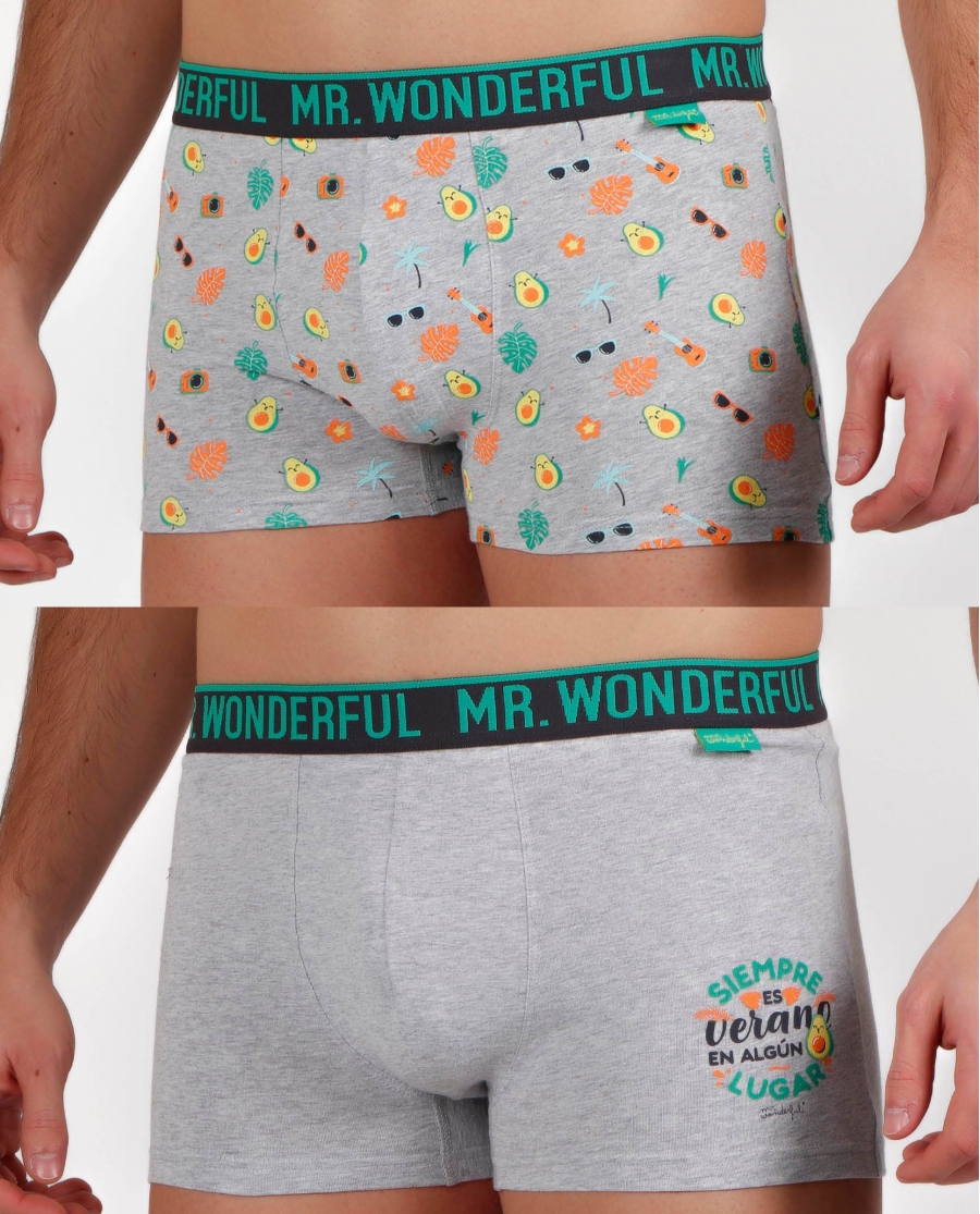 pack de 2 boxer mr wonderful modelo 48371